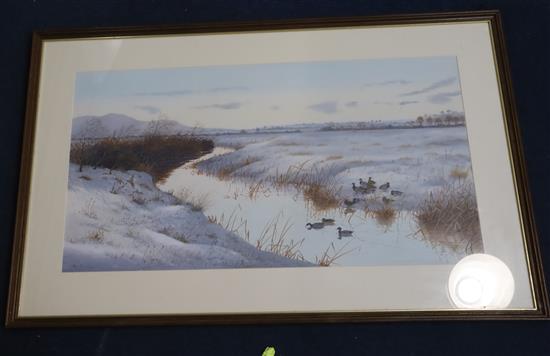 Philip Rickman (1891-1982), watercolour and gouache, Mallard in a wintery river landscape, signed, 40 x 74cm
